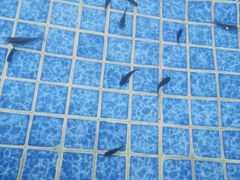 -兴芮温泉度假区