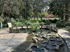 -成都市活水公园