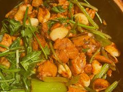 沙姜啫鸡-煲煲好(朝阳门店)