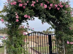 -玫瑰海岸文化旅游度假区