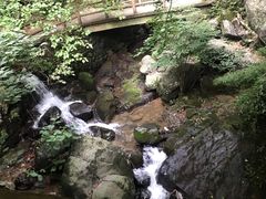 -藏龙百瀑风景区