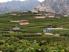 -大泽山风景名胜区