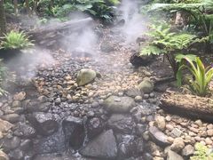 -可伦宾野生动物保护区