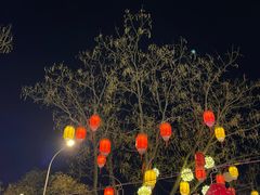 -龙湖星悦荟(颐和店)