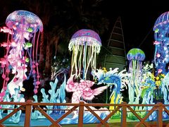 -海合安武汉极地海洋公园