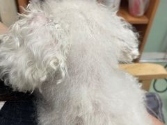 -康乐宝动物医院