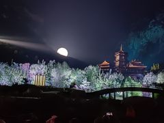 -禅宗少林·音乐大典