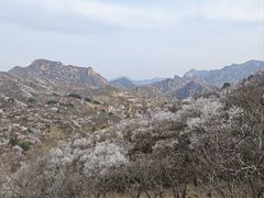 -龙泉峪长城