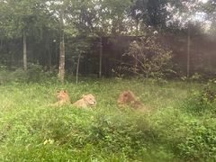 -海南热带野生动植物园