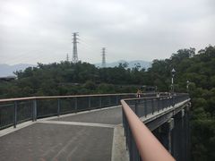 -金鸡山公园