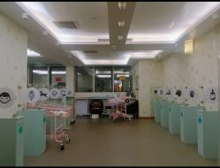 -月幸福月子中心(静安店)