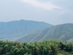 -莫干山风景区