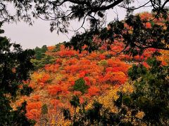 -香山公园
