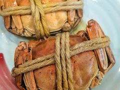 -蟹上黄·蟹黄面·江南糖水(人民广场店)