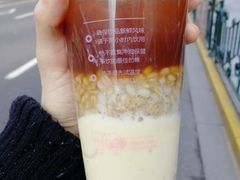 冰淇淋红茶加燕麦-TPLUS茶家(淮海店)