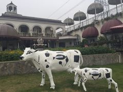 iphone_upload_pic-紫颐香薰山谷景区