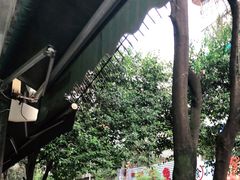 -黑竹香鸡(营和巷店)