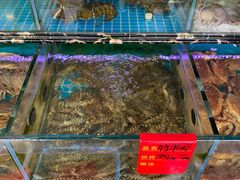 -金海湾海鲜排档(朱家尖店)