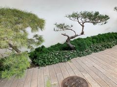 景点-罗红摄影艺术馆