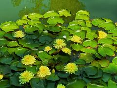 -国家植物园南园