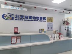 -北京观赏动物医院·24小时大型综合·猫专科·异宠专科