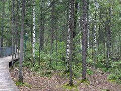 -峡谷浮石林景区