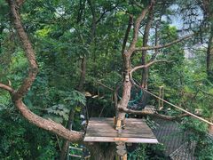 -芦仙山景区-飞越丛林探险乐园