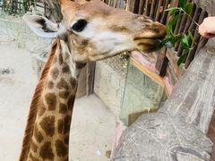 -长鹿旅游休博园
