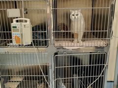 -萌兽医馆·犬猫专科·眼科中心·宠物医院(朝阳门分院)