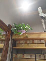 -纤缕坊造型