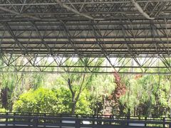 -合肥三国新城遗址公园