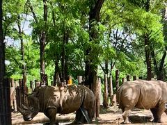 -北京野生动物园