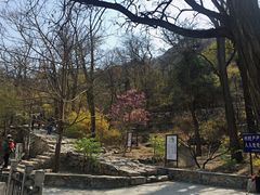 -北京鹫峰国家森林公园