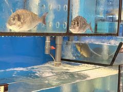 -新辉港式茶餐厅(北栅店)