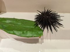 -石螺口海滩
