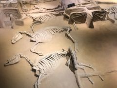 -洛阳周王城天子驾六博物馆