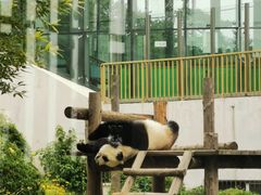 -大连森林动物园