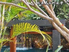 -厦门日月谷温泉渡假村