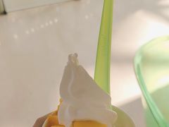 -Salud撒露欧洲冻酸奶(北苑上品店)