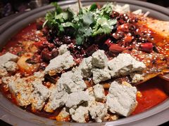 -师烤·豆花烤鱼(广州荔湾扬韬广场店)