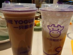 -一只酸奶牛(八一路店)