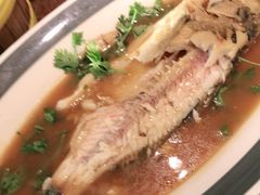 -前海沿·青岛菜(大拇指广场石老人店)