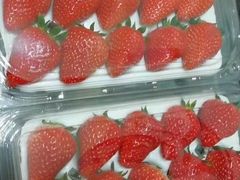 -捞鱼儿·酸菜小鱼(双塔西街店)