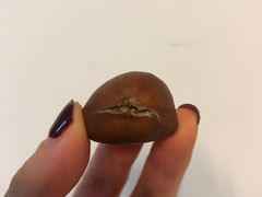 -金栗王(清扬路店)