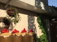 -云里小坐·小院里·团建·宴请·下午茶(三圣乡店)