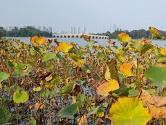 -云龙湖旅游景区