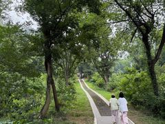 -青龙山国家森林公园