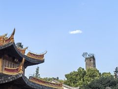 -江心屿景区