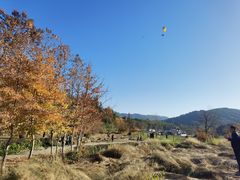 -塔川景区