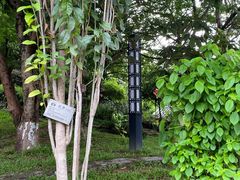 -广州神农草堂中医药博物馆